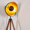 Jupiter Golvlampa Brun, Trä mörkt, Svart, 1-ljuskällor