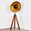 Jupiter Golvlampa Brun, Trä mörkt, Svart, 1-ljuskällor