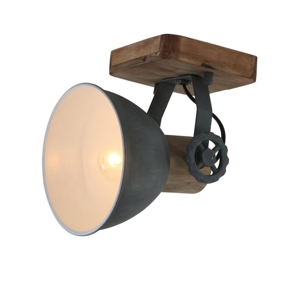 Steinhauer GEARWOOD Taklampa, Takstrålkastare Grått, 1-ljuskällor main product photo