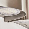 Cornus vägglampa utomhus, Vägglampa LED Rostfritt stål, 4-ljuskällor