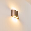 Cornus vägglampa utomhus, Vägglampa LED Rostfritt stål, 4-ljuskällor