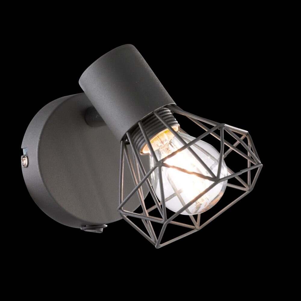 Fischer & Honsel Ran Väggspotlight Grått, 1-ljuskällor main product photo