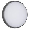 LCD 5067 Taklampa LED Svart, 1-ljuskällor
