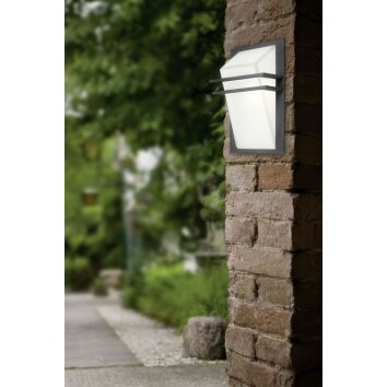 Eglo PARK Vägglampa Antracit, 1-ljuskällor