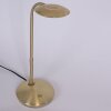 Steinhauer Zenith Bordslampa LED Mässing, 1-ljuskällor