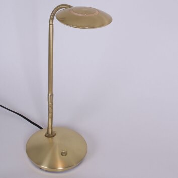 Steinhauer Zenith Bordslampa LED Mässing, 1-ljuskällor