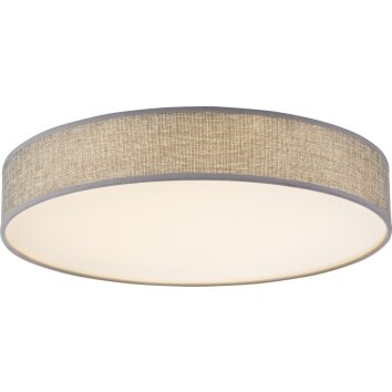 Globo Paco Taklampa LED Vit, 1-ljuskällor