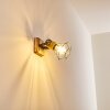 Nifun Vägglampa Grön, 1-ljuskällor