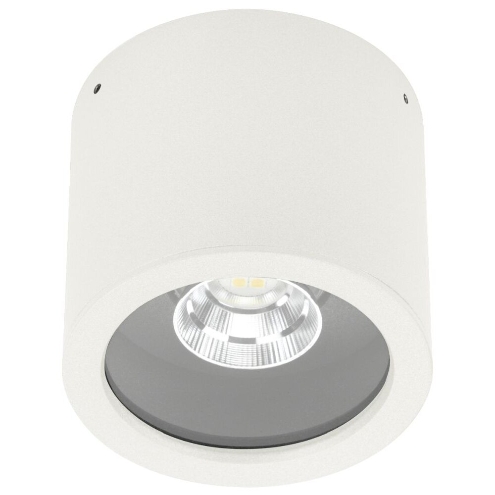 Albert Lampor 2319 taklampa LED Vit, 1-ljuskällor main product photo