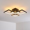 Bacolod Taklampa LED Svart, 1-ljuskällor