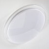 Oranki Taklampa LED Vit, 1-ljuskällor, Fjärrkontroll
