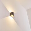 Vikom vägglampa utomhus, Vägglampa LED Antracit, 2-ljuskällor