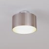 Baraboo Taklampa LED Nickel matt, 2-ljuskällor