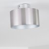 Baraboo Taklampa LED Nickel matt, 2-ljuskällor