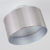 Baraboo Taklampa LED Nickel matt, 2-ljuskällor