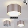 Baraboo Taklampa LED Nickel matt, 2-ljuskällor