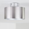 Baraboo Taklampa LED Nickel matt, 2-ljuskällor