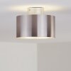 Baraboo Taklampa LED Nickel matt, 2-ljuskällor