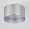 Baraboo Taklampa LED Nickel matt, 2-ljuskällor