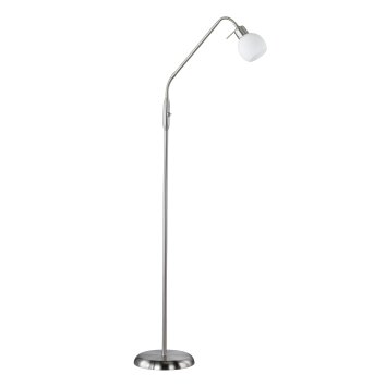 Trio Lampor FREDDY Golvlampa, Golvlampa LED Nickel matt, 1-ljuskällor