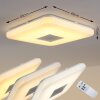 Lumsden Taklampa LED Grått, 1-ljuskällor, Fjärrkontroll