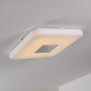 Lumsden Taklampa LED Grått, 1-ljuskällor, Fjärrkontroll