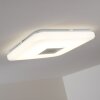 Lumsden Taklampa LED Grått, 1-ljuskällor, Fjärrkontroll