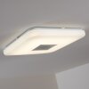 Lumsden Taklampa LED Grått, 1-ljuskällor, Fjärrkontroll