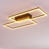 Cheka Taklampa LED Svart, 2-ljuskällor, Fjärrkontroll