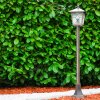 Tok Golvlampa utomhus, gångvägslampa Rostfärger, 1-ljuskällor