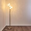 Bernado Golvlampa Nickel matt, 5-ljuskällor