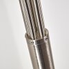 Bernado Golvlampa Nickel matt, 5-ljuskällor