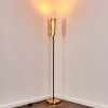 Tegna Golvlampa Svart-guld, 1-ljuskällor