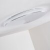 Cirque Taklampa LED Krom, 1-ljuskällor, Fjärrkontroll, Färgväxlare