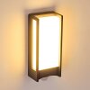Skove Vägglampa LED Antracit, 1-ljuskällor, Rörelsedetektor