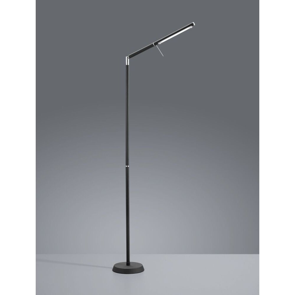Trio FILIGRAN Golvlampa LED Svart, 1-ljuskällor main product photo