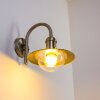 Elima Utomhusbelysning, Vägglampa Färg i rostfritt stål, 1-ljuskällor