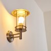 Mulo vägglampa utomhus, Vägglampa Färg i rostfritt stål, 1-ljuskällor