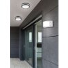 Reality KENDAL Taklampa LED Antracit, 1-ljuskällor