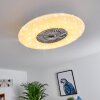 Petrovac Taklampa, Takfläkt med belysning LED Krom, Vit, 1-ljuskällor, Fjärrkontroll