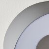 Felsted vägglampa utomhus, Vägglampa LED Silver, 1-ljuskällor