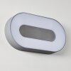 Felsted vägglampa utomhus, Vägglampa LED Silver, 1-ljuskällor