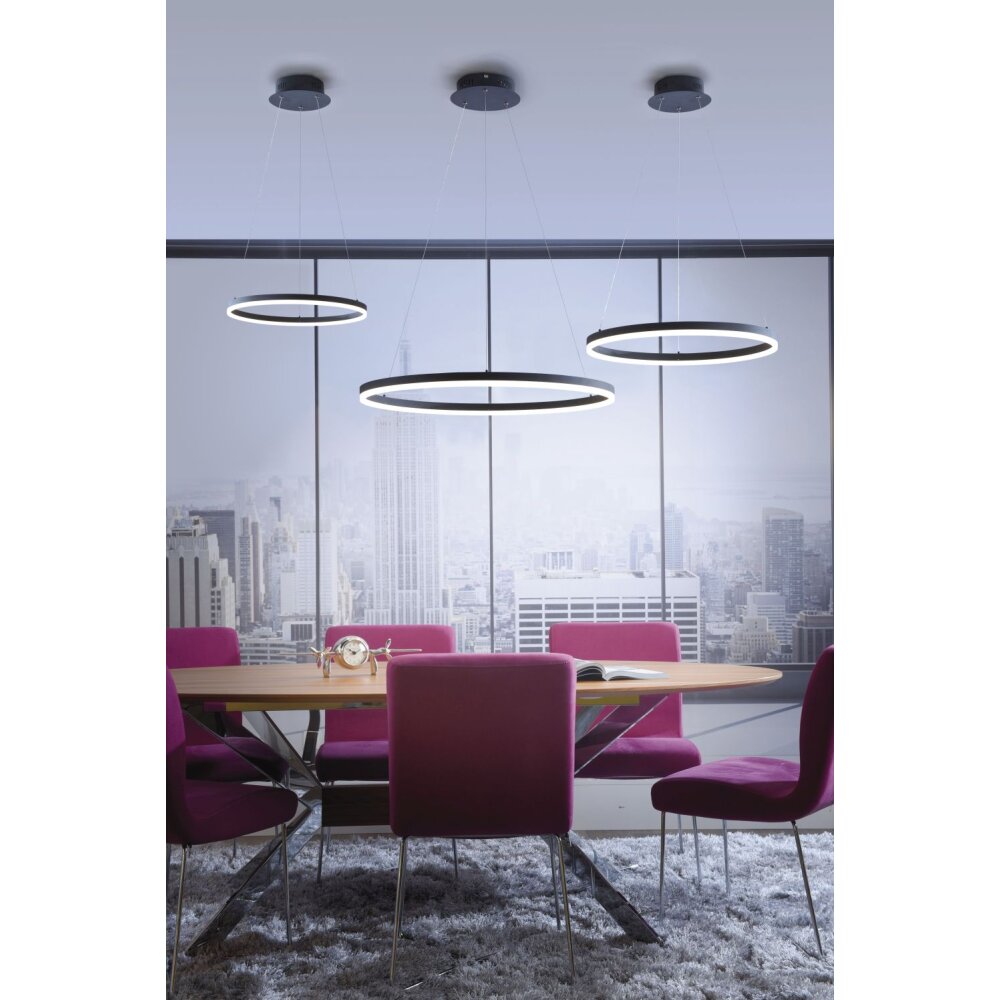 Paul Neuhaus TITUS Pendelbelysning LED Antracit, 1-ljuskällor main product photo