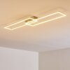 Ceva Taklampa LED Silver, 2-ljuskällor, Fjärrkontroll