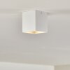 Curacao Taklampa Vit, 1-ljuskällor