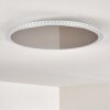 Aitrach Taklampa LED Silver, Vit, 1-ljuskällor
