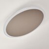 Aitrach Taklampa LED Silver, Vit, 1-ljuskällor