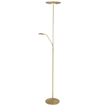 ZENITH Golvlampa, strålkastare, Golvlampa LED Mässing, 2-ljuskällor