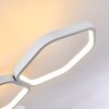 Halmstad Taklampa LED Vit, 1-ljuskällor