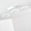 Halmstad Taklampa LED Vit, 1-ljuskällor